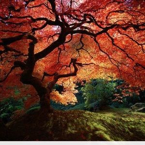 Meet your Posher, Susanne